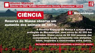 Reserva moçambicana do Niassa tem 70 anos [upl. by Mafala]