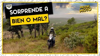 ¿Qué hace en el CANAL una MOTO 125 TRAIL como esta Motron X Nord 125 ✔️ TEST y opinión ⭐ REVIEW [upl. by Now871]