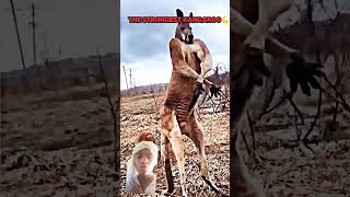 kankalliek skibiditoilet pubgfunny video subscribelieke [upl. by Yroj]