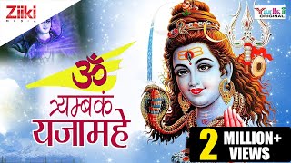 ॐ त्र्यम्बकं यजामहे सुगन्धिं पुष्टिवर्धनम्  OM TRYAMBAKAM YAJAMAHE  SHIV MANTRA [upl. by Scever]