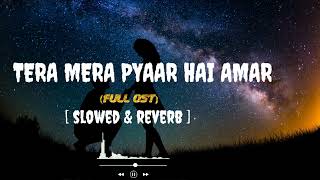 Tera Mera Hai Pyar Amar   slowed amp reverb   Ishq Murshid   Echoed Melodies [upl. by Uok]