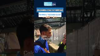 Goldaniga esalta FABREGAS quotAl Como facciamo CALCIOquot 👈👆👉 E imita Lele Adani [upl. by Kline]