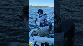 Catching Sheepshead on the incoming tide sheepshead sheepsheadfishing fishing fishfry [upl. by Stockwell]