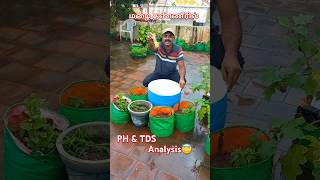 Rain water PH amp TDS analysis 🤔🤔 [upl. by Cardinal418]