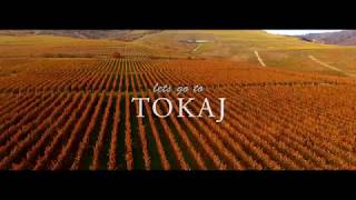 TOKAJ Autumn Winery Landscape 2017 Hungary [upl. by Rhtaeh]