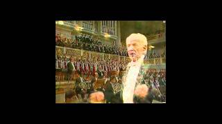 4th Movement  part 2  Ode to Freedom  1989  Leonard Bernstein  Beethovens 9th Symphony HD 720p [upl. by Nylyoj]