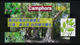 《靈丹妙藥的同類療法》 EP110  樟腦 Camphora [upl. by Tanya]