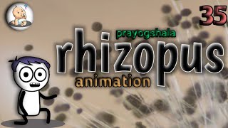 RHIZOPUS STOLONIFER PRACTICALY AND RHIZOPUS ANIMATION IN HINDI [upl. by Nielsen559]