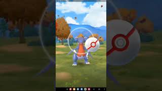 Doing a Gabite raid in pokemongo [upl. by Pope877]