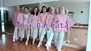 La Bachata  Line Dance [upl. by Zacks]