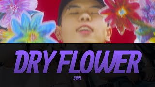 SURL설  Dry Flower Lyrics Video  KPOPWorld Music [upl. by Ojahtnamas710]