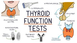 Understanding Thyroid Function Tests [upl. by Haukom442]