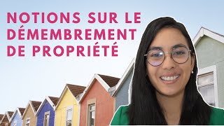 Immobilier  cest quoi la pleine propriété lusufruit et la nue propriété [upl. by Eednak]