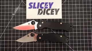 Should You Buy a Spyderco PM2 or a Para 3 [upl. by Helfand406]