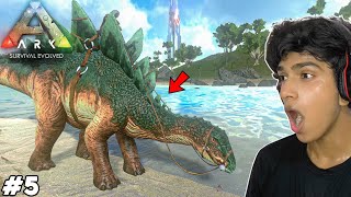 Finally i Tame A High Level Dinosaur stego  ARK Mobile Gameplay 5 [upl. by Yerfdog]