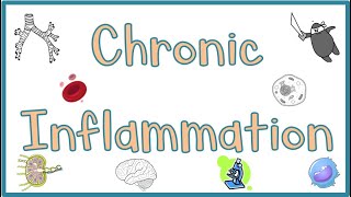 Chronic Inflammation  Causes Morphologic features Mediators Examples amp Clinical manifestations [upl. by Lerrad425]