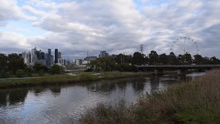 Trash in Moonee Ponds Creek Melbourne [upl. by Aldwin]