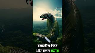 Titanoboa snakes🐍🐍viralvideo snacks titanoboa shorts subscribe [upl. by Arvie829]