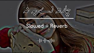 Charta Ta Ze Ba Na SlowedReverb Pashto Song  Sad Song  Lofi Song  New Song 2022 [upl. by Brookhouse765]