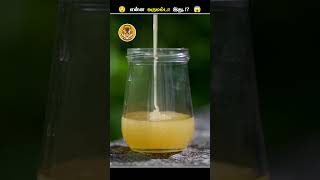 தேனீக்கள் வெளியேத்துற இது என்னனு உங்களுக்கு தெரியுமா  Bee Poop  Animal Voiceover Tamil [upl. by Mcmillan]