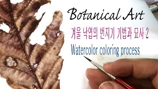 Botanical Art낙엽 반쪽 작업 풀 영상 배속 없이 지루할까요 하지만 여러 번 자세히 보면 기법이 보여요 Watercolor 수채화 botanicalart [upl. by Risa]