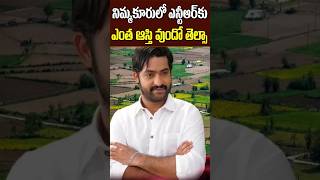 Jr NTR Lands and Net Value in Nimmakuru Village  Jr NTR Grand Fathers Home Town Tollywood Nagaram [upl. by Aisel950]