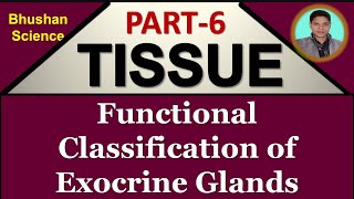 Part 6  Tissue Level of Organization  Functional Classification  Exocrine Glands Hindi BPharm [upl. by Kare]