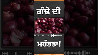 Shorts ਗੰਢੇ ਦੀ ਮਹੱਤਤਾ  khalaskhana diet health drharshinderkaur khalastv [upl. by Nort]