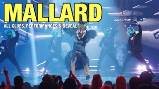 The Masked Singer Mallard All Clues Performances amp Reveal [upl. by Bobbie]