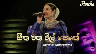 Seetha Wanawil Pethe සීත වනවිල් පෙතේ Adithya Waliwaththa  Sirasa Tv Sajjayana Song [upl. by Ettegroeg711]