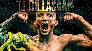 UFC 4 TJ DILLASHAW SIGNATURE MOVES GUIDE [upl. by Spalding]