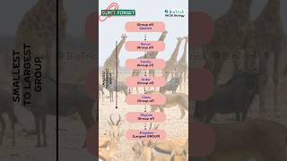 Classification  Living Organisms  IGCSE Biology 0610 O amp A Level  CAIE igcsebiology [upl. by Nanaj]