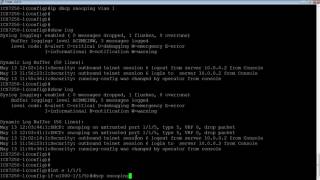 BROCADE ICX DHCP SNOOPING [upl. by Eetsud]
