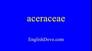 How to pronounce aceraceae in American English [upl. by Bridgid605]