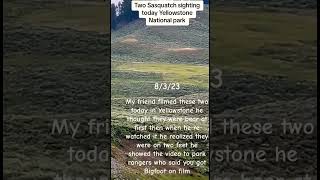 2 Bigfoot Filmed Running Across Field at Great Speed in YellowStone National Park [upl. by Nylatsirk]