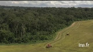 Brésil  forêt et champs cultivés en Amazonie [upl. by Sydney]