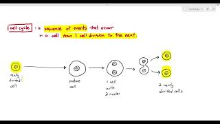 51 Introduction to the Mitotic Cell Cycle Cambridge AS A Level Biology 9700 [upl. by Orvas437]