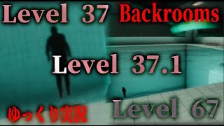 【ゆっくり実況】霊夢達がthe backroomsに行ってしまったようです Level 37 ＆ Level 371 ＆ Level 67 【Anemoiapolis】 [upl. by Robert]