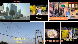 My Daily Routine Vlog  Biceps And Triceps Workout For Massive Pump 💪🏻 vlog Malkeetsinghfitness [upl. by Ainslie]