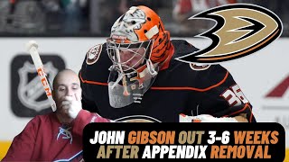 EMERGENCY NEWS DUCKS JOHN GIBSON OUT 36 WEEKS AFTER APPENDIX REMOVAL SWEDISH [upl. by Coopersmith299]