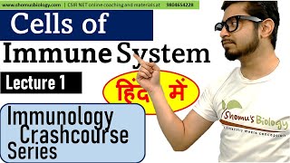 Cells of immune system in Hindi  Immunology lecture 1 [upl. by Adnuahsor]