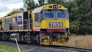 Flashback TasRail TR04 TR10 TR14 damaged from cattle Light engines Johnston Road 30042021 [upl. by Feilak]