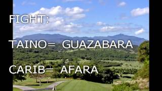 The History amp Languages of the Indigenous Island Natives Lesser amp Greater Antilles [upl. by Ottavia348]