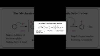 Mechanism of electrophilic aromatic substitution [upl. by Alegnave]