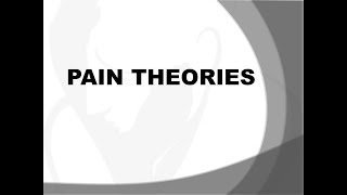 THEORIES OF PAINPPT [upl. by Aihsekal]