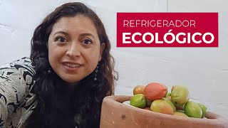 ¿Cómo hacer un refrigerador ecológico casero con materiales sencillos para conservar alimentos [upl. by Blythe]