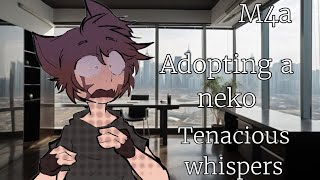 Adopting a neko comforting an abused neko neko listener asmr [upl. by Nahbois]