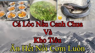 Cá Lóc Nấu Canh ChuaVà Kho Tiêuăn hết cơm luôn  locvlog60 [upl. by Cha]