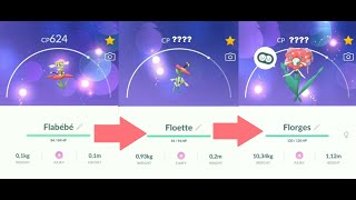 Flabebe evolution into Floette and Florges in Pokemon GO  Trainer Ari [upl. by Arihday]