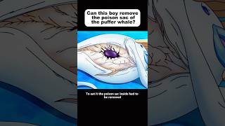 Can this boy remove the poison sac of the puffer whale cartoonvideo animecomicdub animeshorts [upl. by Alahc821]